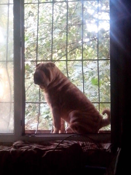 Юра Лифиренко