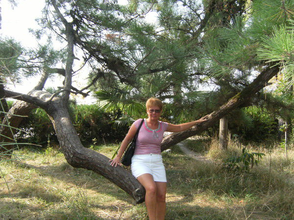 Елена Курнакова