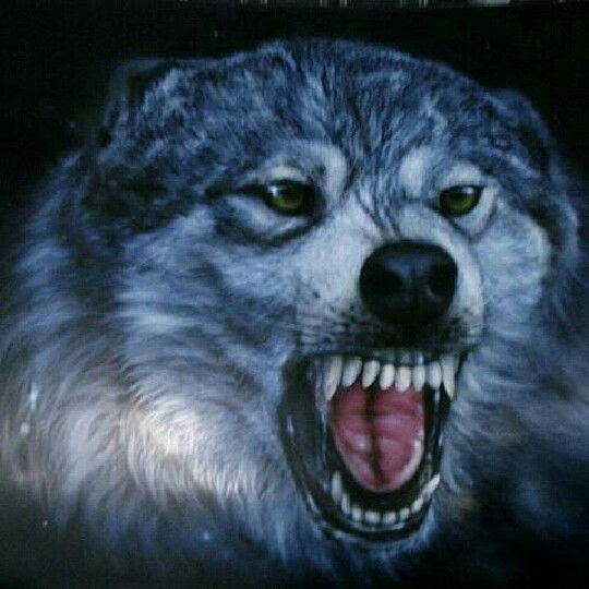 Даг05 Салахов