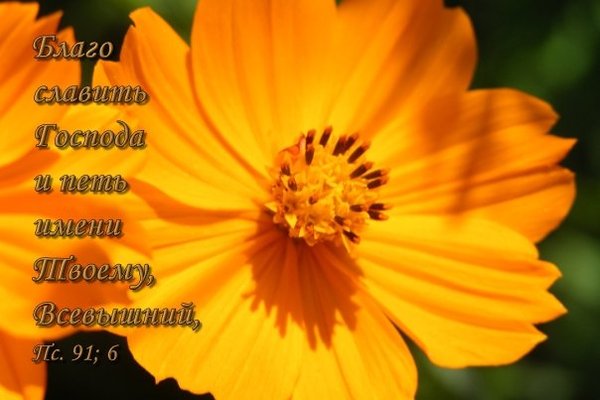 Лариса Бугакова