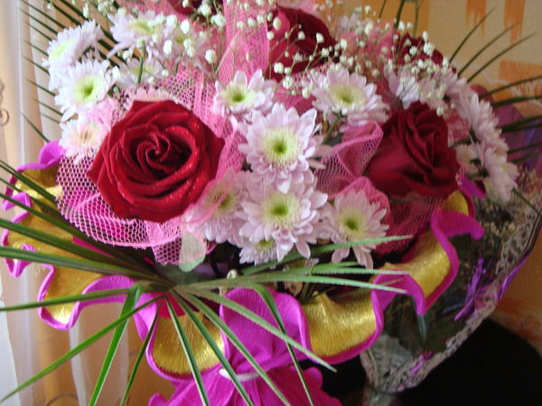 Светлана Гиренок