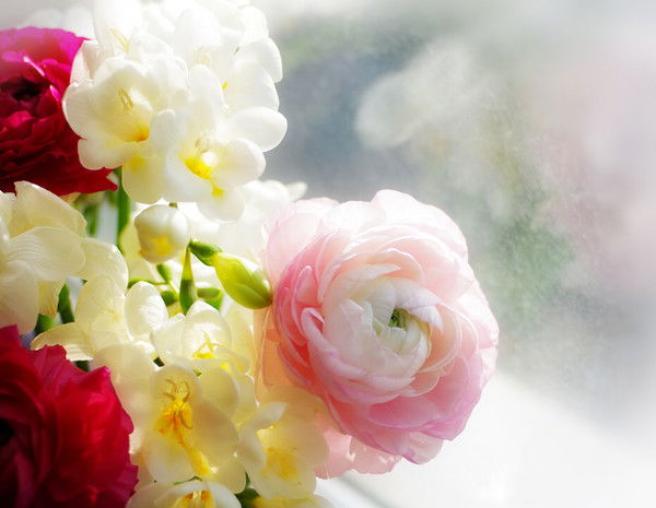 Динара Абдуллаева