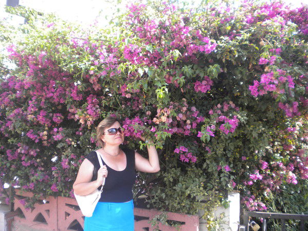 Лиля Ермолаева