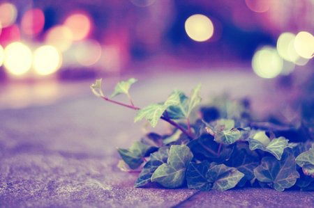 Ирина Котковец