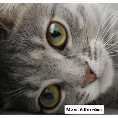 Яночка Разумова