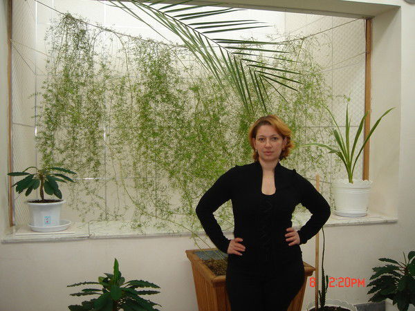 Лариса Тищенко