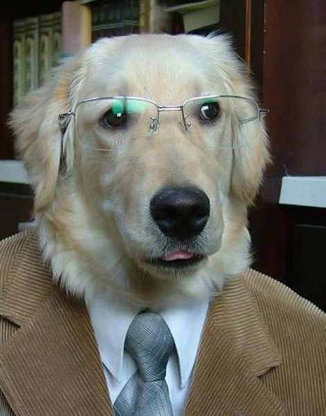 Навеки Вместе