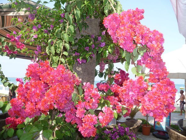 Марина Мельникова