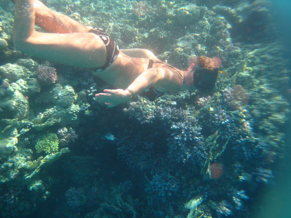 Наталия Тевилина