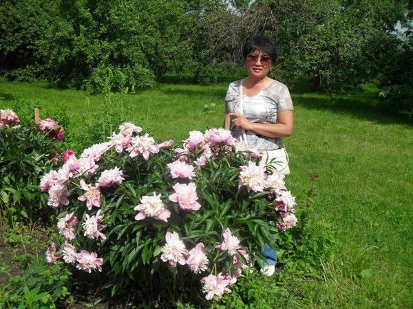 Мун Людмила