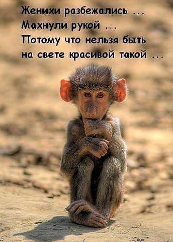 Шлюха Проститутка