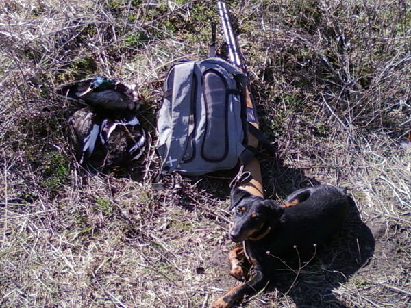 Игорь Анатольевич