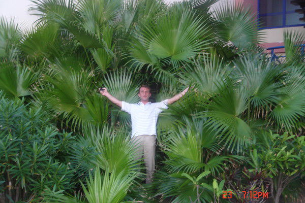 Владимир Троценко