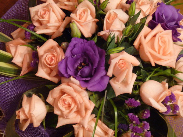 Черёмухина Виктория