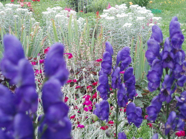 Агенство Дали