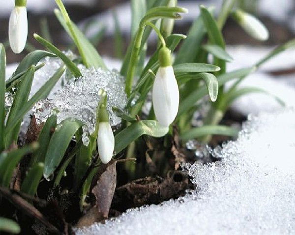 Куляш Ниязбекова