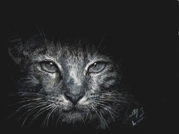 Никита Глухенко