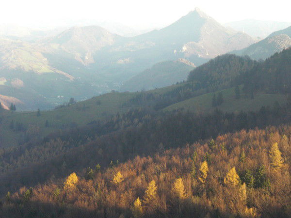 Наталья Лапшинова