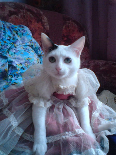 Ольга Калюжина