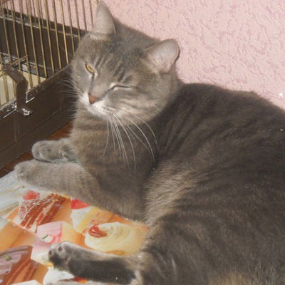 Денис Надршин