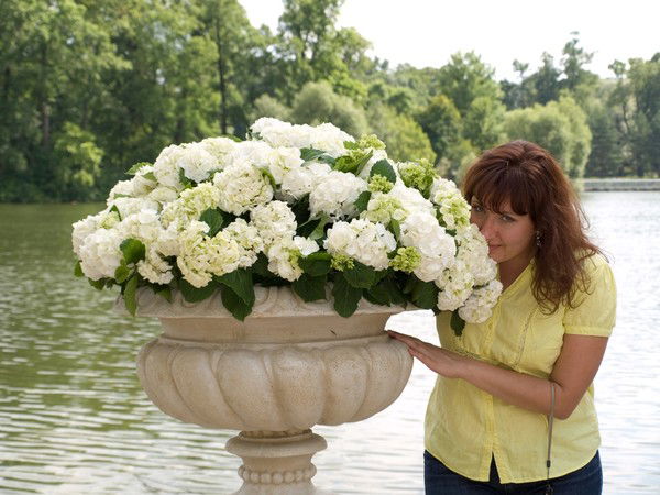 Оксана Лебедева