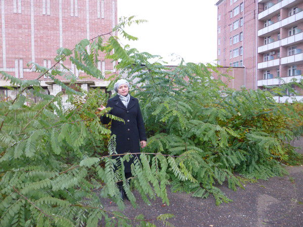 Татьяна Логутова