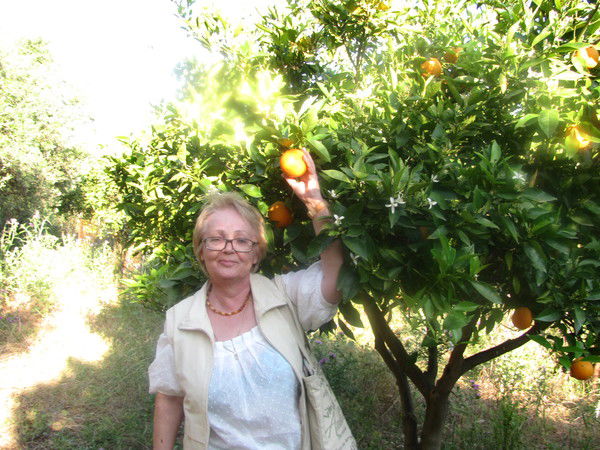 Лариса Белкина