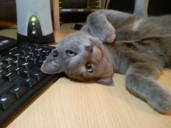 Павел Очнев