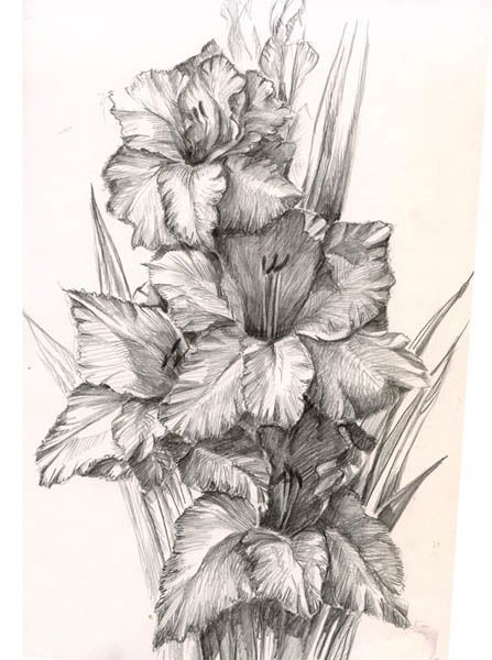 Aйпери Танабаева