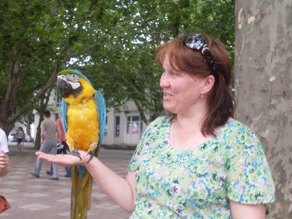 Евгения Стрилко