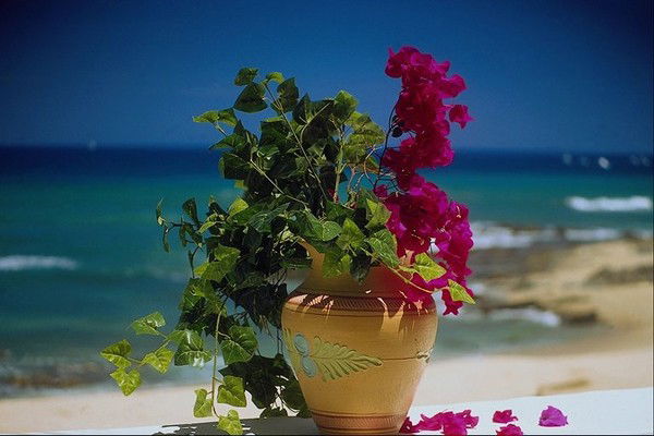 Аян Азимбаева