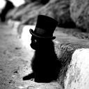 Александр Котенев