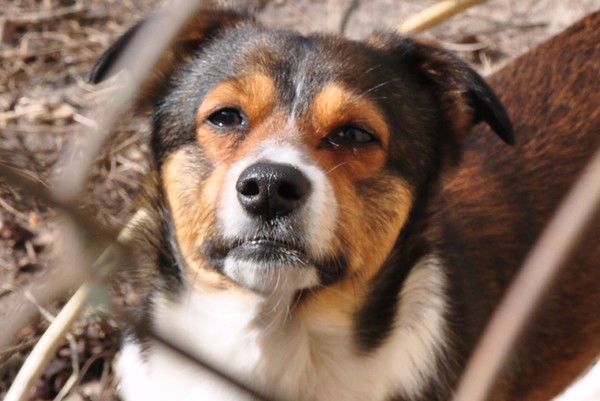 Алекс Плюта