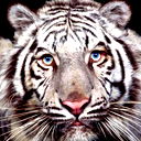 Игорь Приставко