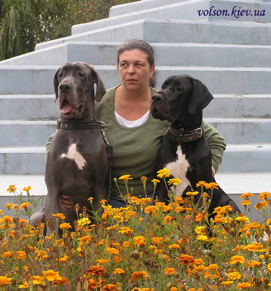 Анна Даничева