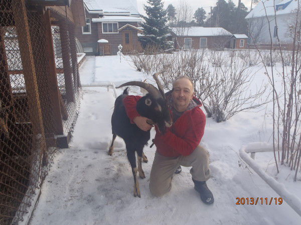 Венер Шаяхметов