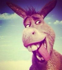 Лёха Кузьмин