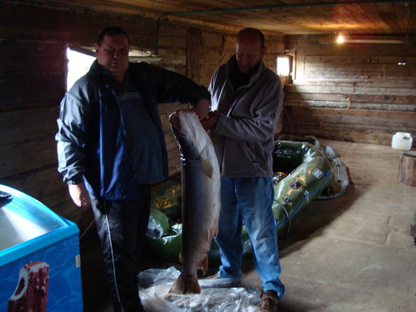 Александр Которев