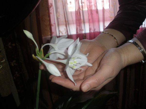 Рая Гайнулгалимова