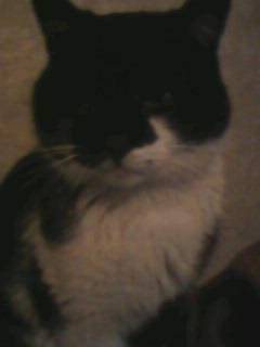 Евгений Ананченко