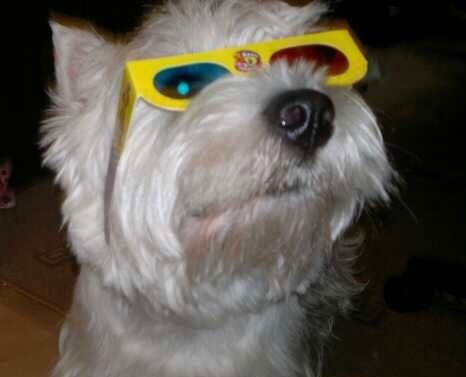 Алла Блинова