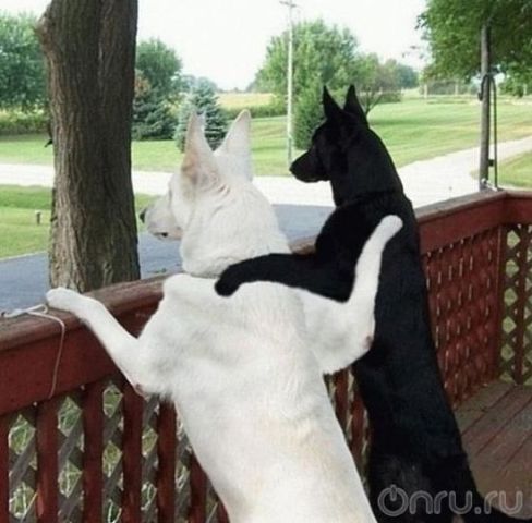 Наталья Грицай