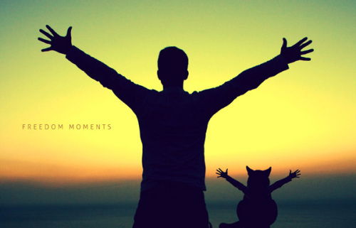 Алексей Данилов