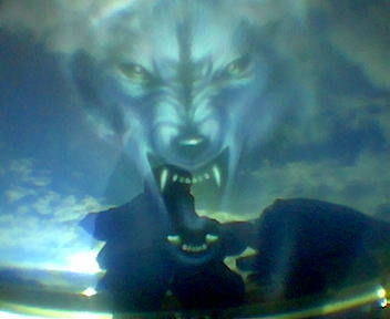 Волк Бик 500+