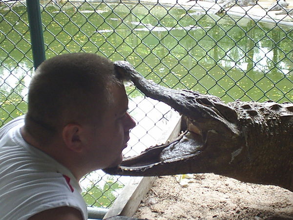 Александр Чернышов