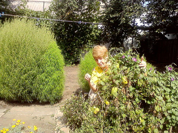 Ира Легкова