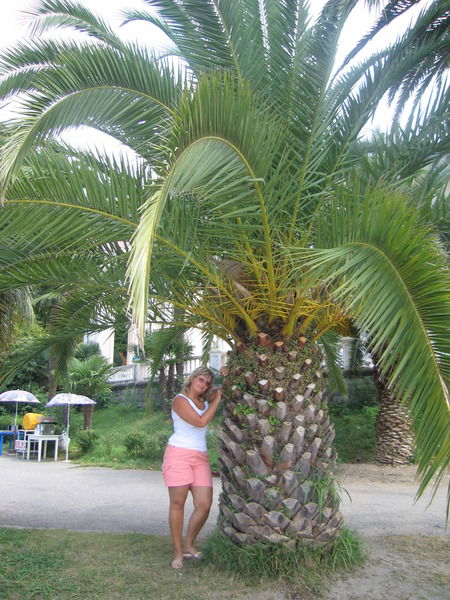 Наталья Кораблева