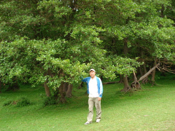 Мейрбек Аймагамбетов