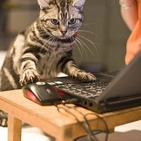 Руслан Атнашев