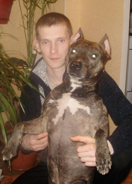 Анатолий Хомутов